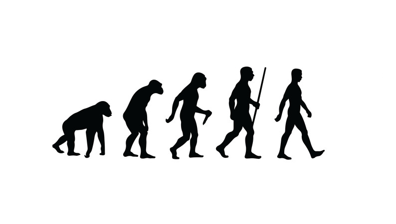 Evolution of humans over time